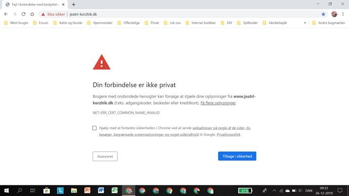 Sk%C3%A6rmbillede%20(146)