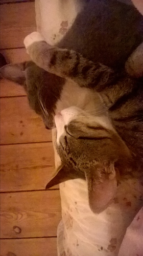 WP_20180209_18_39_05_Pro