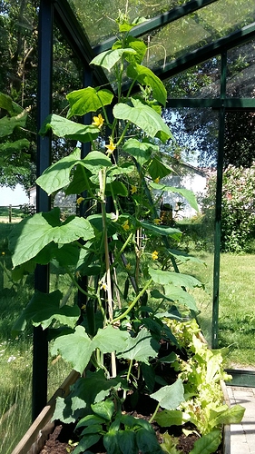 20180603_125402%5B1%5D