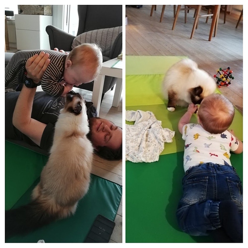 20190701_161414-COLLAGE