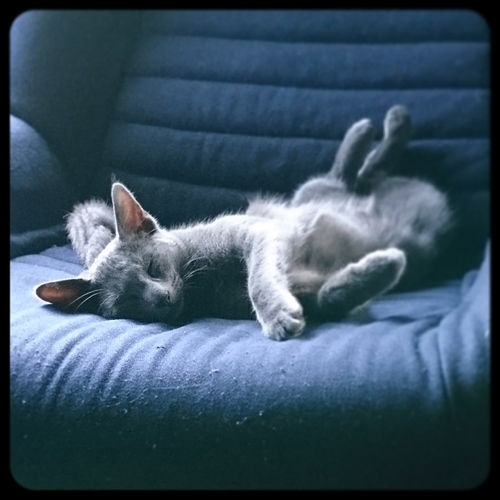 IMG_20180311_205751_120