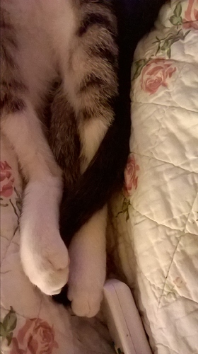 WP_20180206_21_00_44_Pro