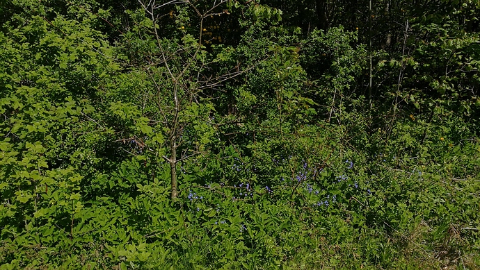 IMG_20180506_115622-1984x1120