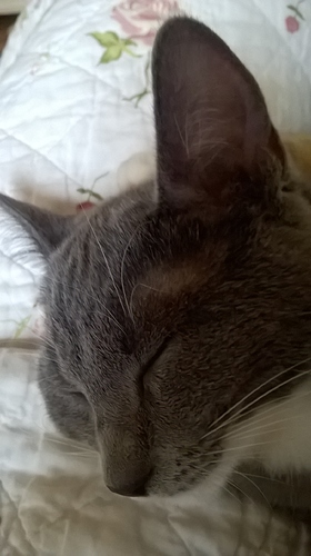 WP_20180204_10_10_29_Pro