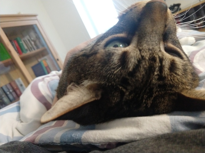 IMG_20200126_151321702