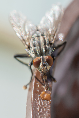 20190824-_DSC1392