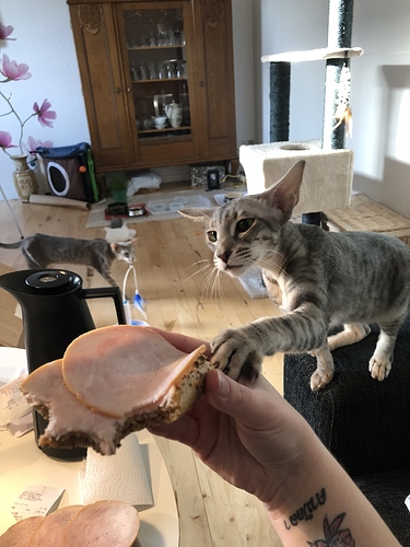 87C8E0C0-4FF1-411F-A6E4-EF179FBCE6D1