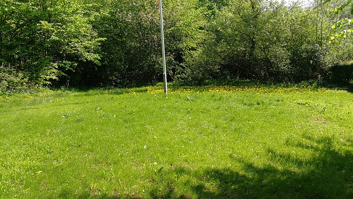 IMG_20180510_103557-1984x1120