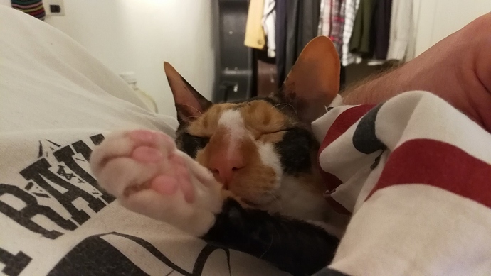 IMG_20171126_204324_1