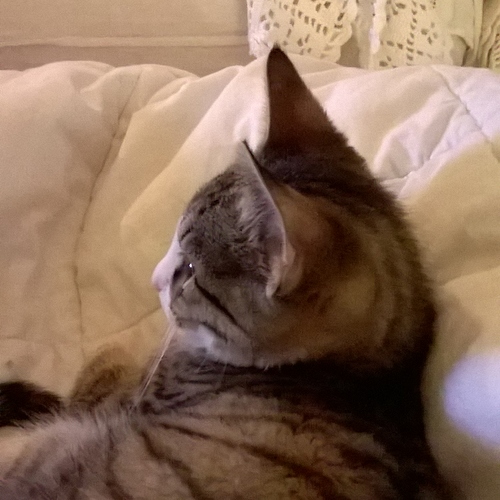 WP_20180107_19_43_44_Pro