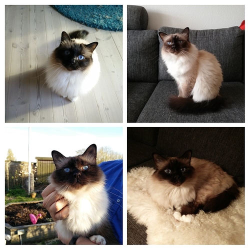 20190701_162141-COLLAGE