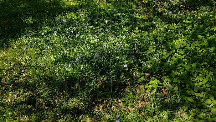 IMG_20180506_115654-1984x1120