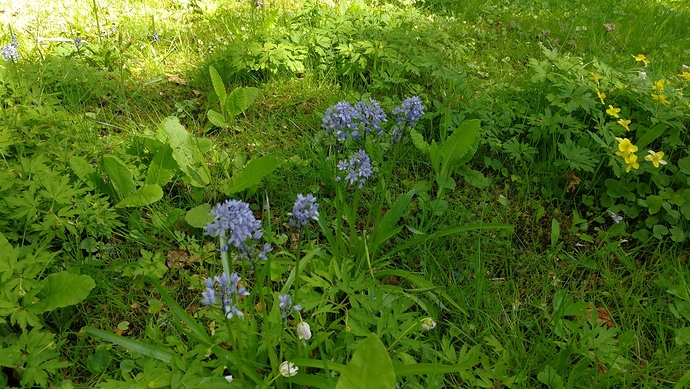 IMG_20180506_115802-1984x1120