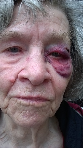 WP_20180202_11_47_16_Pro