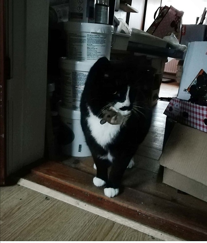 Screenshot_20200126_153335