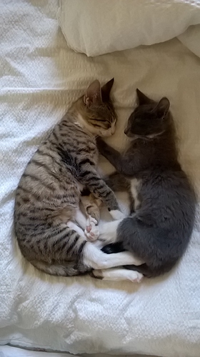 WP_20180108_13_04_59_Pro