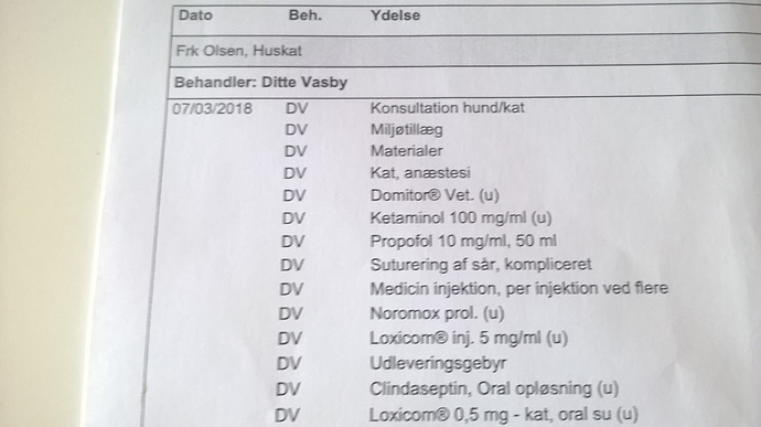 WP_20180329_10_44_35_Pro