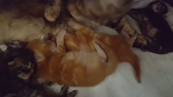 20180729_151044