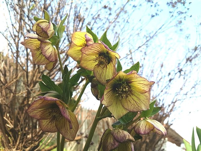 20180412_224528