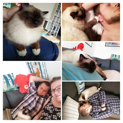 20190701_161636-COLLAGE