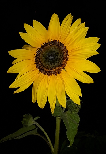 20190806_220217