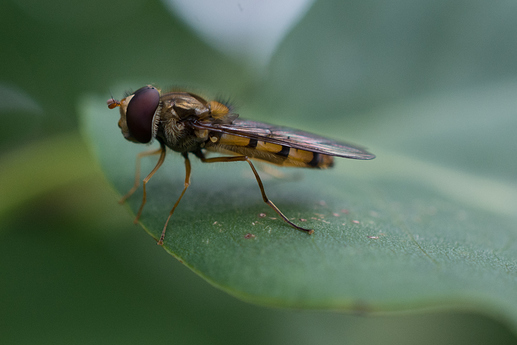 20190721-_DSC9950%202
