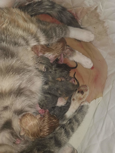 received_1749570195193725