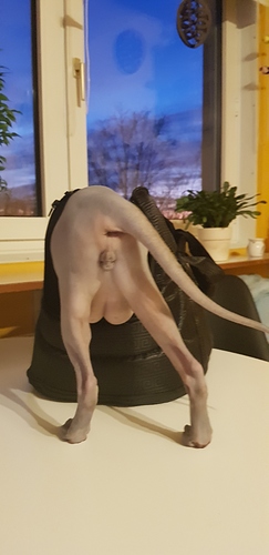 15851599521844923911805856639940