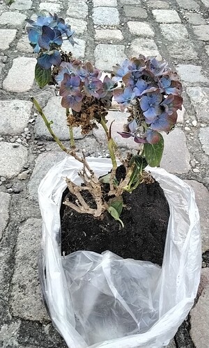 16581698553699217823771311098613