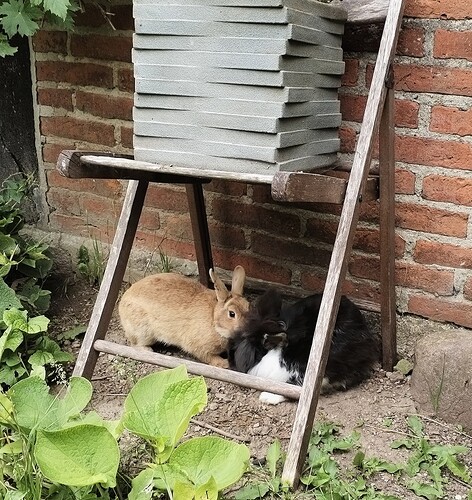 IMG_20240618_190054_edit_317396713355535