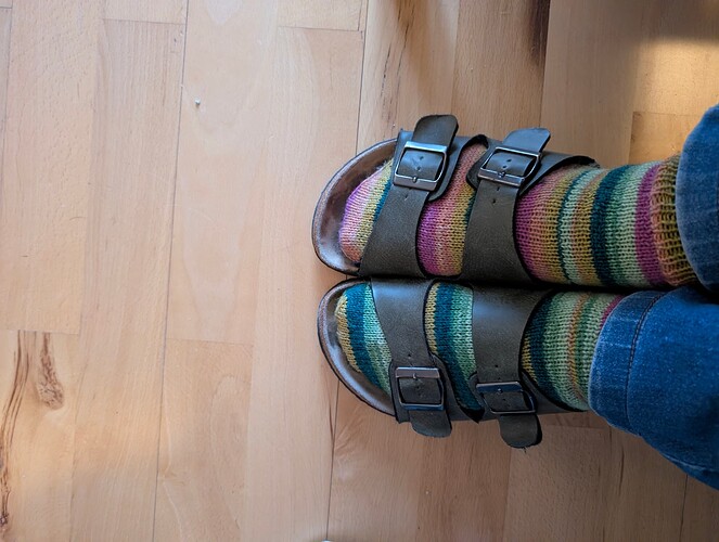 PXL_20260106_144140587.MP