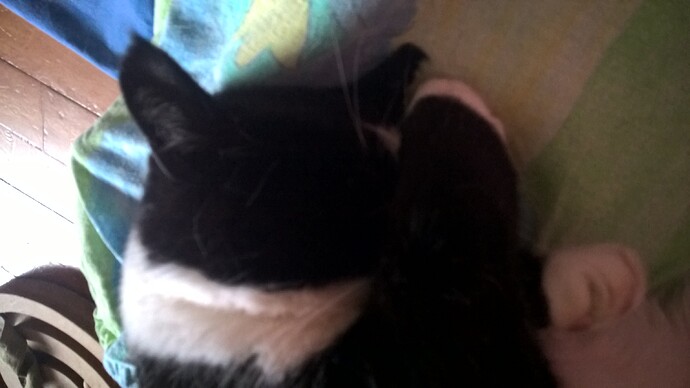 WP_20220116_13_55_59_Pro