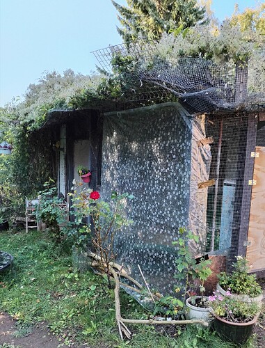 IMG_20251001_142915_edit_785742236470573