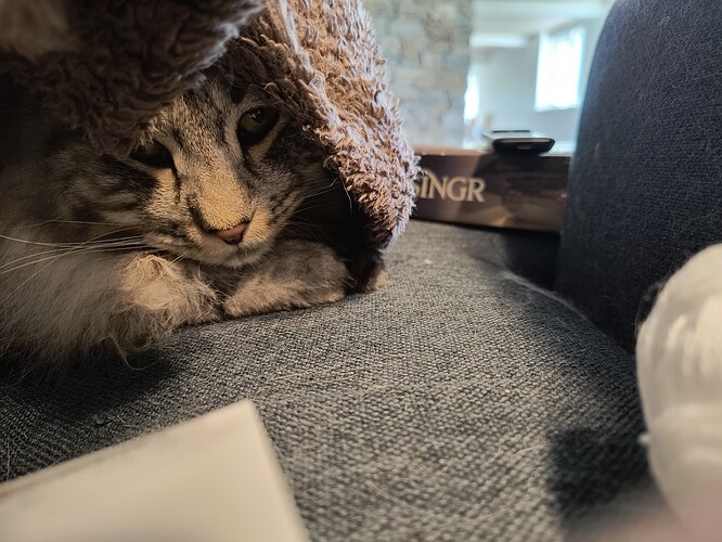 IMG_20250820_090230075_HDR