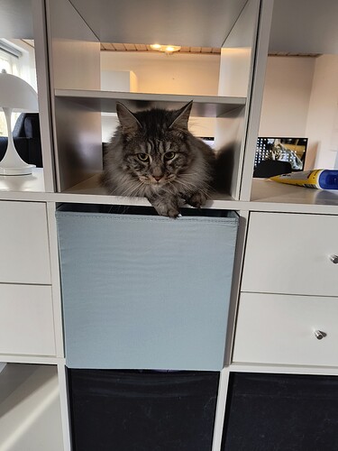 IMG_20260409_082706264_HDR