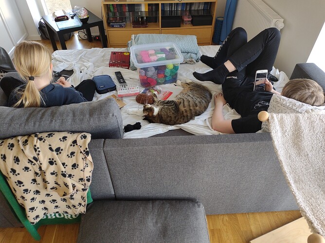 IMG_20210306_123341732