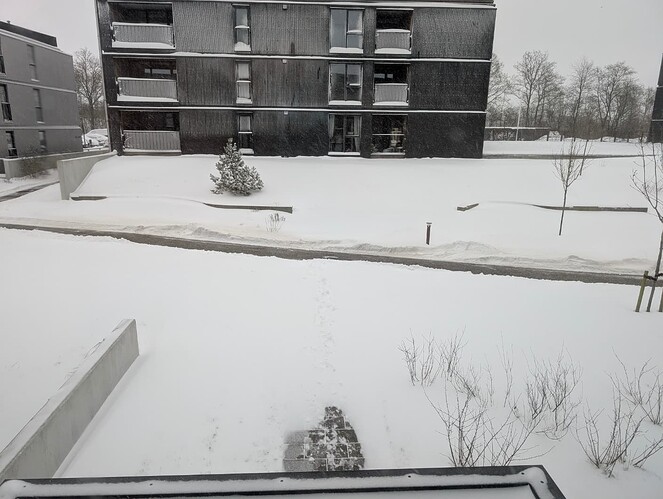 PXL_20260206_082600496.MP