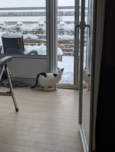 PXL_20260206_130235244.MP