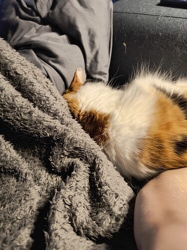 IMG_20260101_154446219_HDR