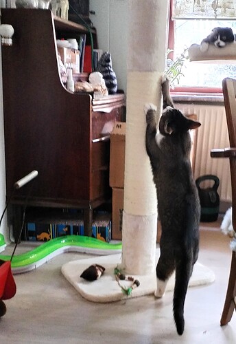 IMG_20250805_172658_edit_420196801882675