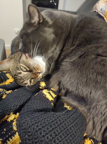 IMG_20220124_181824042