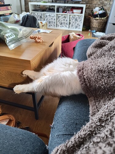 IMG_20260406_102753522_HDR