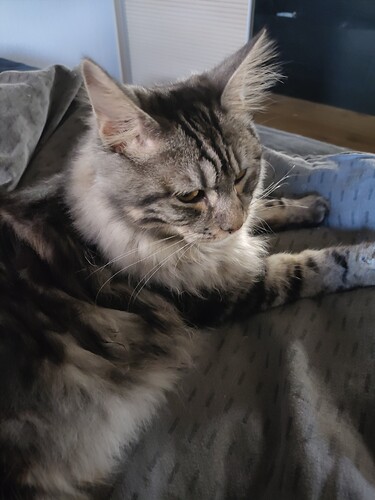 IMG_20240618_060637066