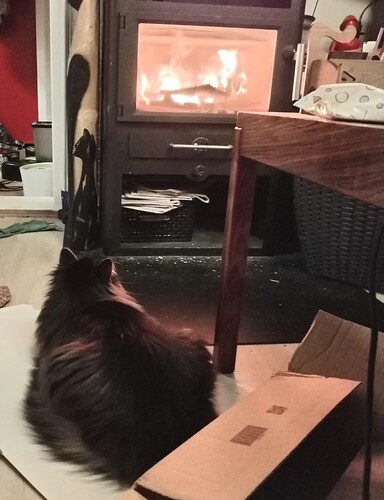 IMG_20260127_220906_edit_348837224172238