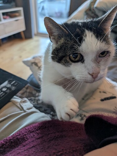 PXL_20260409_065256756