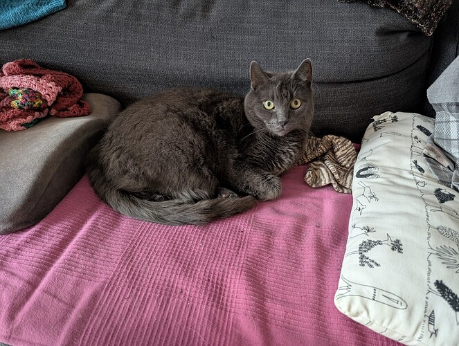 PXL_20251006_160834560.MP