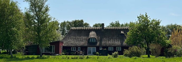 IMG_2716