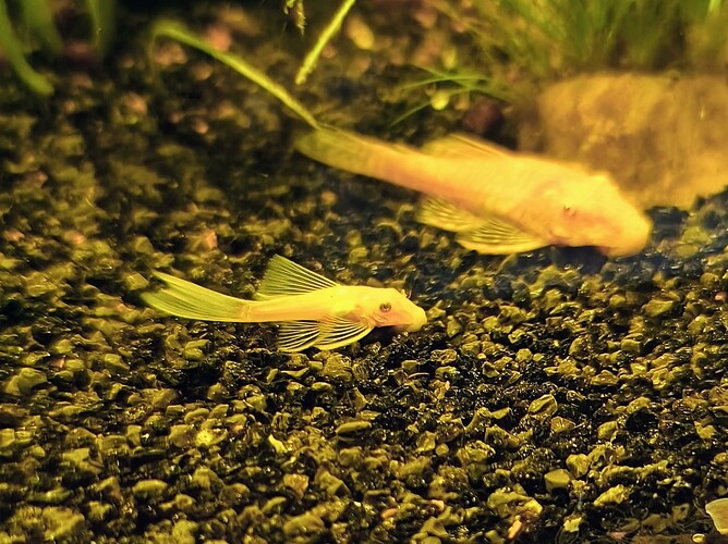 IMG_20250725_093053875