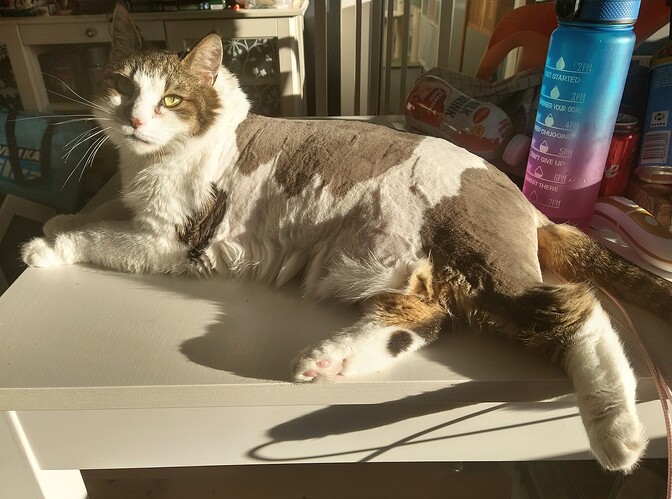 IMG_20250516_194442590_HDR~2