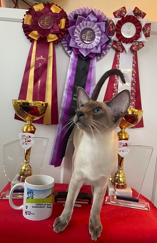 394960802_989024932177405_6577058999708918663_n